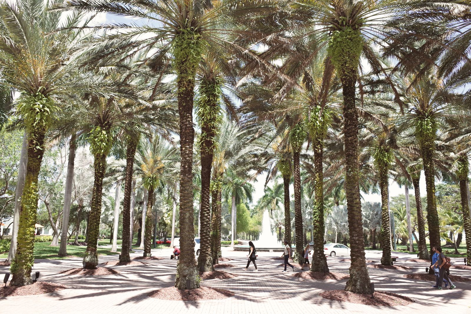 Coral Gables area in Miami