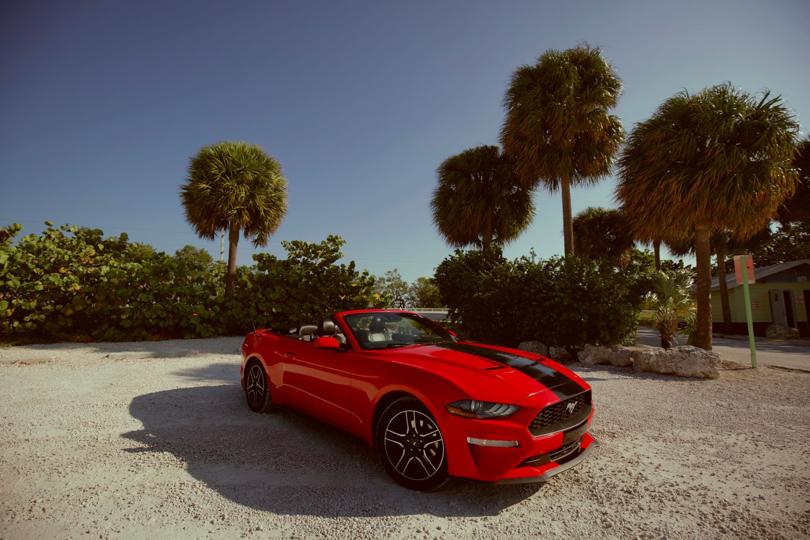 Ford Mustang Convertible rental in Miami